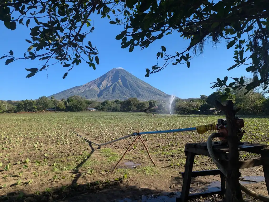 新疆地区燃气探测器安装规范与日常维护要点说明