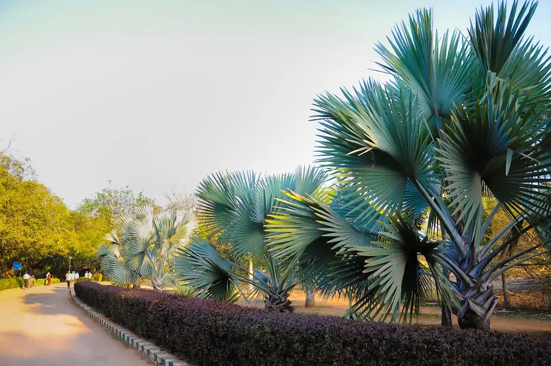 红外探测器误报原因及西北地区环境适应性优化方案